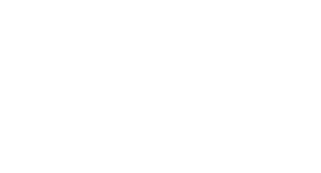 Anona Group Charter